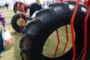 Agro Show w Bednarach