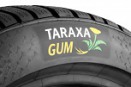 Taraxagum Lab Anklam