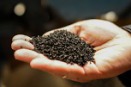 Polityka dywidendowa Recyklu