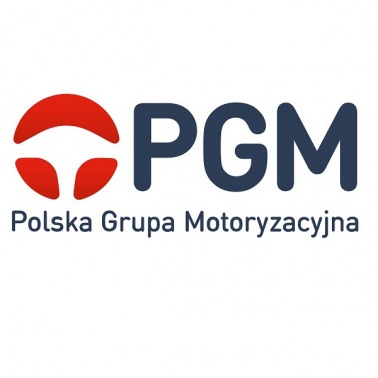 PGM na globalnym rynku
