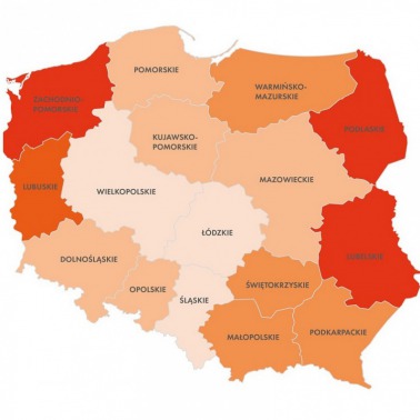 Popularne auta w 2019 r.