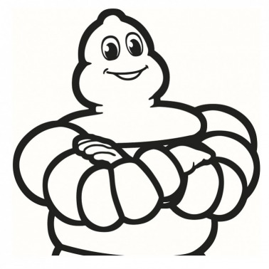 Michelin podziwianą firmą