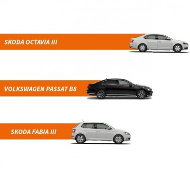 Das WeltAuto po I półroczu