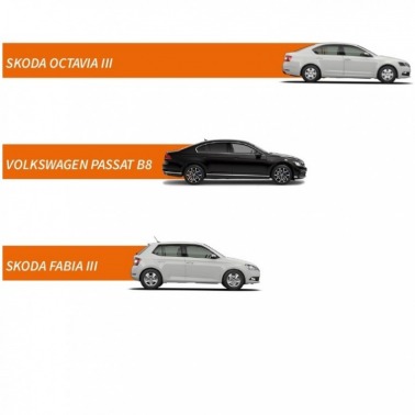 Das WeltAuto w 2020 r.