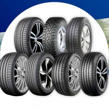 Falken na lato 2025