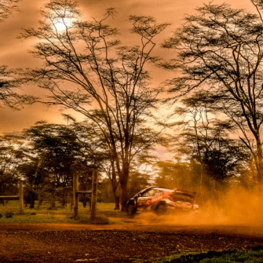 Ruszył Rajd Safari