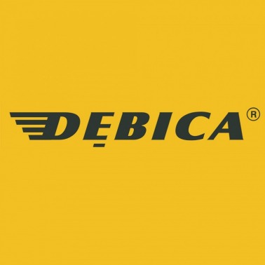 Dębica w I kwartale 2025