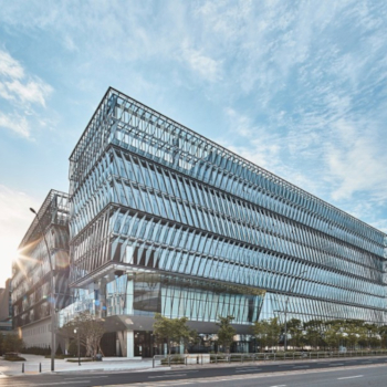 Solidna sprzedaż Nexena