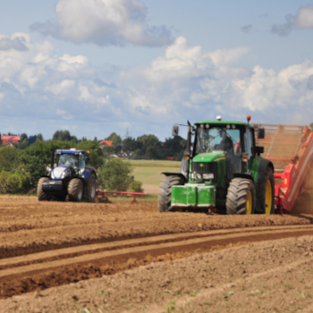 BKT rozszerza dział OE