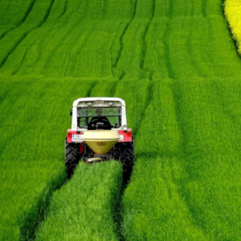 Nowa struktura BKT Europe