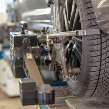 Alzura odnotowuje wzrost