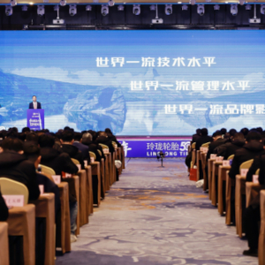 Pół wieku Linglong