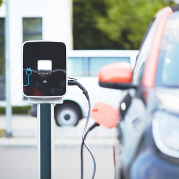 Rynek „elektryków” 2025