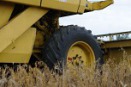 Bridgestone poszerza ofertę