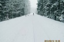 Z łańcuchami i bez (cz. 2): Naukowe spojrzenie na jazdę autem na ośnieżonej nawierzchni