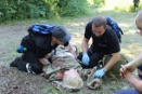 Ratownicy Bridgestone’a najlepsi
